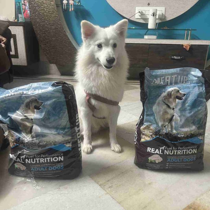 High protein dog food